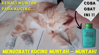 Download Kucing Muntah Obat Untuk Kucing Muntah, Murah Gampang Nyarinya! MP3