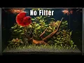 Download Lagu Aquascape Tutorial: How To Make A Low Tech Betta Aquarium - No Filter, No Co2, No Fertilizer