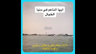 لا رأت عيناك شكي و ضلالي و حنيني و لهيب الذكريات ميادة الحناوي 