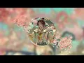 Download Lagu The Crowned Prince Who Pleased The Gods | Xie Lian Playlist