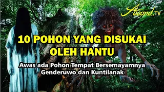 10 trees that ghosts love beware of trees where genderuwo and kuntilanak live