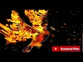 Tu fuego me quema - sammy