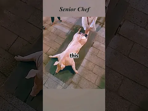 Video Thumbnail: Man is a top Chinese cuisine chef. #action #viralvideo