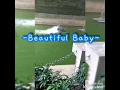 Beautiful Baby by Pj Endrinal with Lyrics