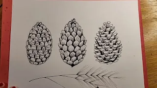 How to Draw a Pinecone