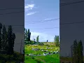 Download Lagu I Love My Kashmir \u0026 You Love My Kashmir ? #love #song  #youtube #nature #mykashmir #foryou #travel
