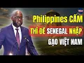 Download Lagu Philippines Cấm Gạo Việt: Senegal Lập Tức Xin Nhập Số Lượng Lớn Dài Hạn - Việt Nam Quá Cao Tay !