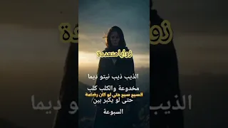 ذيب ذيب نيتو ديما مخدوعة 