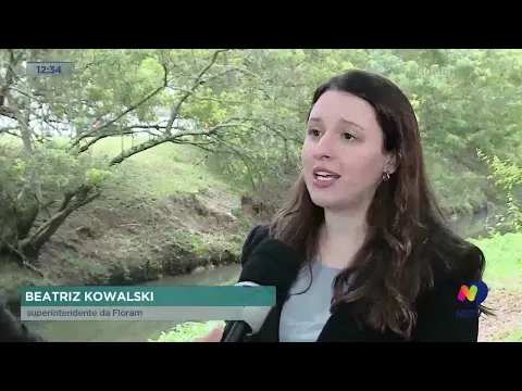 Santa Mônica: presença de animais silvestres no mangue requer alguns cuidados