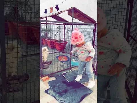 Raavi❤️Snowy#dog#love#outdoors#winter#cutenessoverload#pindawale#punjabi#usa#punjab#love#kids#india