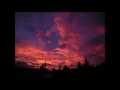 Stevie Ray Vaughan - Tin Pan Alley (aka Roughest Place in Town) (with lyrics)