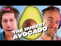 Mission Avocado s surprise Wall Street s 80 hr workweek cap Disney s Dartmouth dilemma