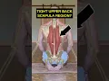 Download Lagu Movements for a tight upper back 🖤 Hope these help!! #backpain #backstiffness #shorts #backpaintips