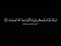 Download Lagu Surah Al Qasas | Sheikh Rashid Al Arkani