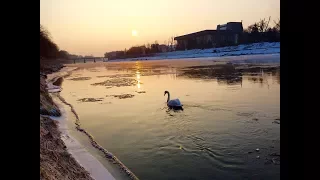 Ігор Білозір Це не яблуні цвіт Перший сніг 