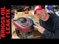 Riding Mower Oil Leak Fix - Briggs Oil Seals Replacement