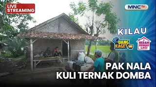 🔴PAK NALA KULI TERNAK DOMBA | LIVE UANG KAGET BEDAH RUMAH | 7 SEPTEMBER 2026