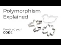 Polymorphism Explained - Learn to Code Intermediate