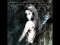 The River Flows Frozen - Eternal Tears Of Sorrow