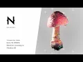 Free Houdini Tutorial Machine Learning with ONNX in Houdini 20