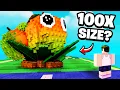 Download Lagu Growing a JUMBO MANGO in Plants vs Brainrots