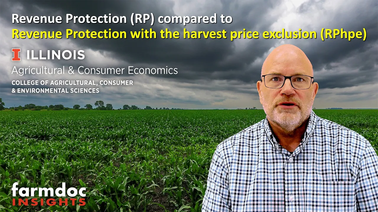 Revenue Protection (RP) compared to Revenue Protection with the harvest price exclusion (RPhpe)