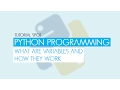 Python Programming - Variables