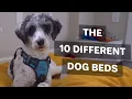 The 10 Different Types of Dog Beds EXPLAINED