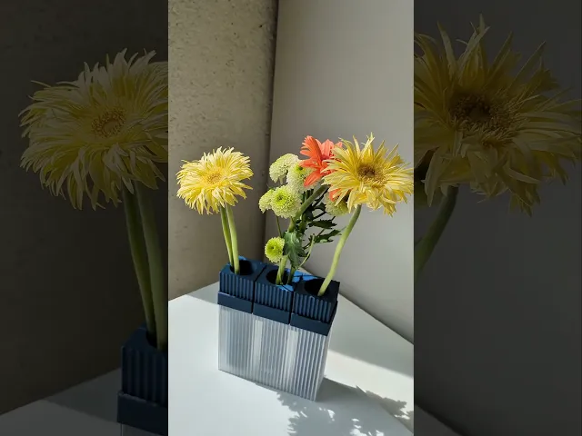 LUCID - VASE01X3 video thumbnail