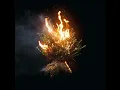 Trust In God (feat. Chris Brown) - Elevation Worship