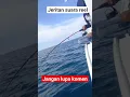 Download Lagu @pemancing_pinggiran313 suara rell menjerit #fishing