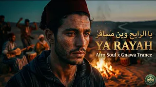 يا رايح وين مسافر                                          دندنها
