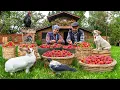 Download Lagu 🍓 First Strawberry Harvest of the Year |  Making Strawberry Cake \u0026 Jam