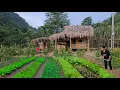 Download Lagu Alleenstaande moeder: Verbouw de tuin, kweek meer groenten voor een gezond dieet