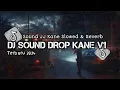 Download Lagu DJ NGEDROP X BREAKDUTCH V4 FULL BASS BRUTAL KANE ( SPEED UP X REVERB)
