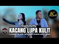 KACANG LUPA KULIT - Raymonatha - Video Music Official  MDC Pro K4 Community