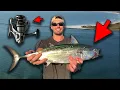 Download Lagu NEW Shimano Nasci 2021 - ULTIMATE TEST - False Albacore