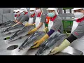 Download Lagu Salmon fish cutting \u0026 salmon donburi making! / 鮭魚加工, 鮭魚丼飯 - Taiwanese food factory