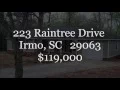 Homes for Sale - 223 Raintree Dr Irmo SC