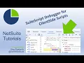 NetSuite Tutorial SuiteScript Debugging Client Side Script