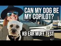 K-9 Ear Muff Review Flight Training for My Dog Can my dog become my Co-Pilot Mutt Muffs