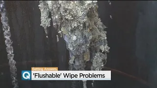 Flushable Wipe Problem