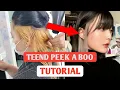 PEEK A BOO HAIR COLOR