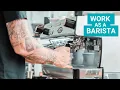 Barista Job Hunting Tips From Zero Experience to Hired