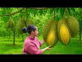 Download Lagu Harvesting Giant Durian and Bringing It to the Market to Sell, Build Garden, Cooking