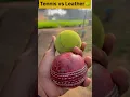 Lagu Leather vs Tennis ball🥎#cricket #cricketshorts #fastbowling