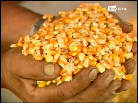 Ecuador Agropecuario 16-07-2018