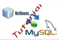 Conexion De Mysql Workbench A Netbeans PARTE 1