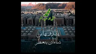إن الصلاة على النبي واله يشدوبها من شاء أن يتعطر ابداع بدر العزى احبك ربي 