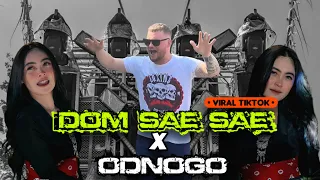 yang lagi viral dj bouchenka saxo revolution dom dom sae x odnogo